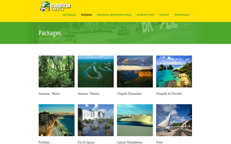 brazilian travel service ltd