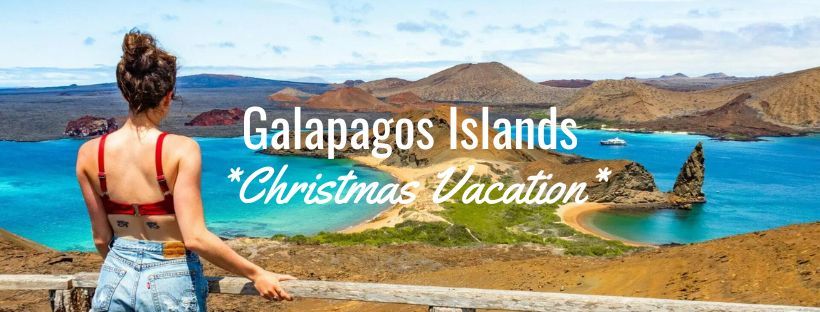 Christmas Galapagos