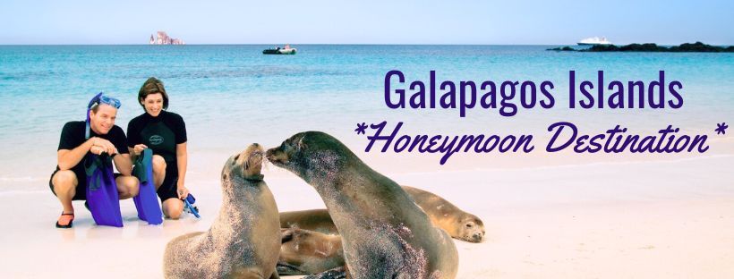 Honeymoon Galapagos