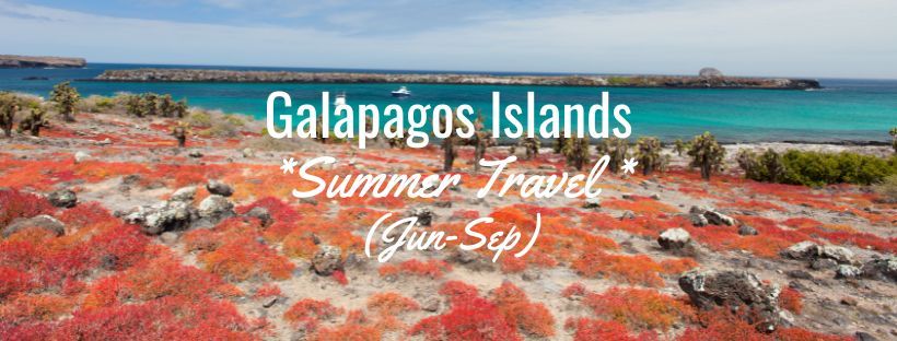 Summer Season Galapagos