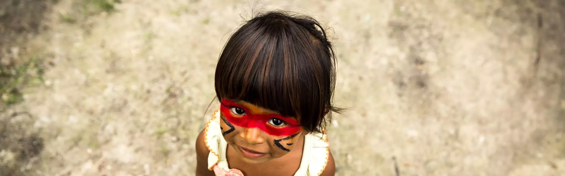 Brazilian Amazon - Cruises